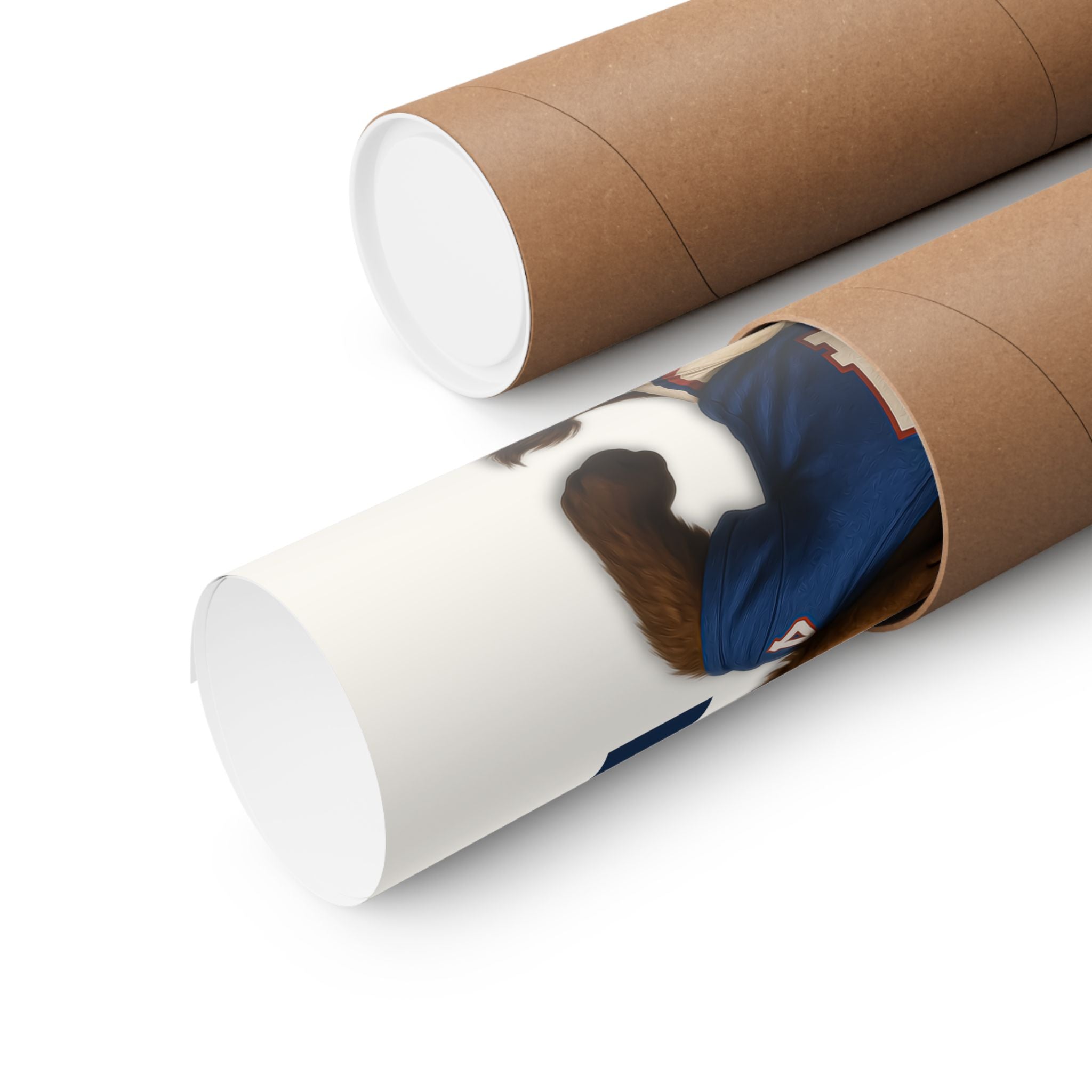 Buffalo Football Poster