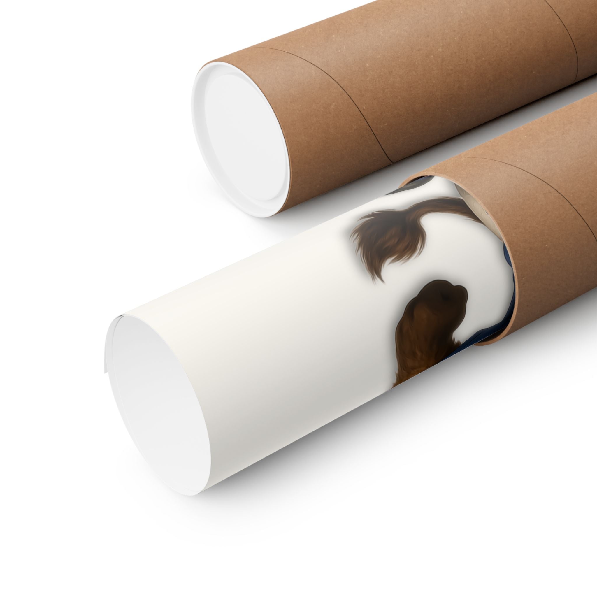 Buffalo Football Poster